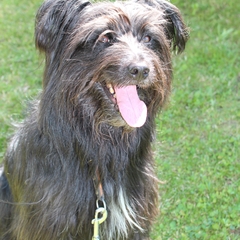 Ausflug im Mai 2016 (11)